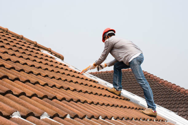 Best Roof Maintenance and Cleaning  in Waynesboro, GA